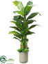 Silk Plants Direct Banana Tree - Green - Pack of 1