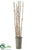 Birch Pole - - Pack of 1