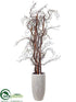Silk Plants Direct Curly Willow - Brown - Pack of 1