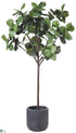 Silk Plants Direct Fiddle Leaf Tree - Green - Pack of 1