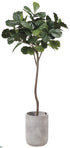 Silk Plants Direct Fiddle Leaf Tree - Green - Pack of 1