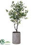 Silk Plants Direct Ficus Tree - Green - Pack of 1