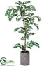 Silk Plants Direct Coffee Leaf Tree - Green - Pack of 1