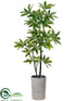 Silk Plants Direct Pachira Aquatica Tree - Green - Pack of 1