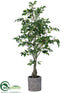 Silk Plants Direct Ficus Tree - Green - Pack of 1