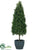 Boxwood Topiary - Green - Pack of 1