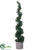 Citrus Leaf Spiral Topiary - Green - Pack of 1