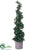 Citrus Leaf Spiral Topiary - Green - Pack of 1