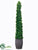 Laurel Leaf Cone Topiary - Green - Pack of 1
