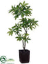 Silk Plants Direct Pachira Aquatica Tree - Green - Pack of 1