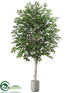 Silk Plants Direct Birch Tree - Green - Pack of 1