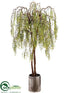Silk Plants Direct Willow Tree - Green - Pack of 1