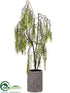 Silk Plants Direct Willow Tree - Green - Pack of 1