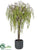 Willow Tree - Green - Pack of 1