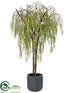 Silk Plants Direct Willow Tree - Green - Pack of 1