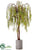 Willow Tree - Green - Pack of 1