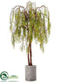 Silk Plants Direct Willow Tree - Green - Pack of 1