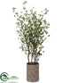 Silk Plants Direct Cornus Tree - Green - Pack of 1