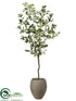 Silk Plants Direct Laurel Tree - Green - Pack of 1