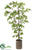 Wisteria Tree - Green - Pack of 1