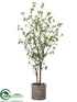 Silk Plants Direct Cornus Tree - Green - Pack of 1