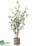 Silk Plants Direct Cornus Tree - Green - Pack of 1