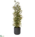 Silk Plants Direct Cedar Tree - Green - Pack of 1