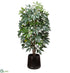 Silk Plants Direct Schefflera Tree Black - Green - Pack of 1