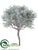 Spanish Moss Bush - Green White - Pack of 8