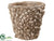 Poly Resin Shell Container - Beige - Pack of 1
