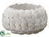 Silk Plants Direct Sea Shell Container - White Antique - Pack of 2