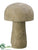 Wood Mushroom - Natural - Pack of 8