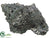 Sea Shell - Pewter - Pack of 6