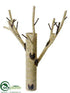 Silk Plants Direct Faux Birch - Beige - Pack of 2