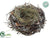 Iced Birdnest - Brown - Pack of 12