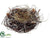 Iced Birdnest - Brown - Pack of 12
