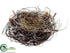 Silk Plants Direct Iced Birdnest - Brown - Pack of 12