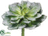 Silk Plants Direct Echeveria Pick - Green Snow - Pack of 6