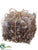 Pine Cone - Brown Whitewashed - Pack of 12