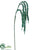 Amaranthus Spray - Peacock Green - Pack of 12
