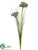 Jewel Queen Anne's Lace Spray - Green - Pack of 12