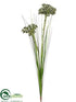 Silk Plants Direct Jewel Queen Anne's Lace Spray - Green - Pack of 12