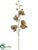 Glitter Phalaenopsis Orchid Spray - Gold - Pack of 6