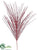Long Needle Pine Spray - Radish - Pack of 24