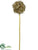 Sequin Allium Ball Spray - Gold - Pack of 6
