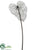 Glittered Mesh Anthurium Spray - Black - Pack of 12