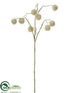 Silk Plants Direct Platanus Spray - Beige - Pack of 12