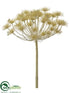 Silk Plants Direct Cow Parsnip Spray - Beige - Pack of 6