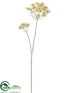 Silk Plants Direct Cow Parsnip Spray - Beige - Pack of 6