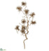 Silk Plants Direct Tillandsia Hanging Vine - Gray - Pack of 12